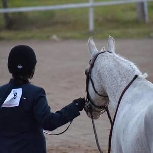 Meet your Posher, Claire